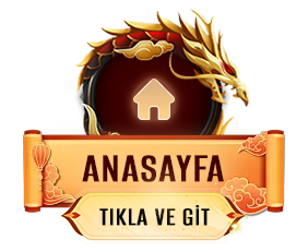 Anasayfa